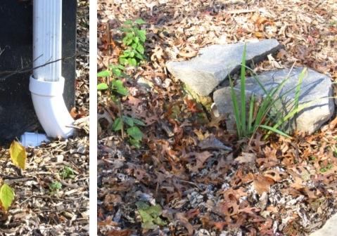 Water goes in here...and out here.