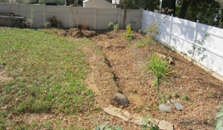 Beginnings of the rain garden