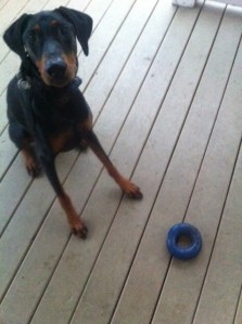 Harvey and his circle, 2012