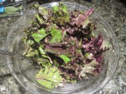 what's cookin3 2.21.13