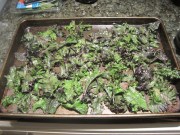 what's cookin4 2.21.13