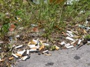 cigarette_litter