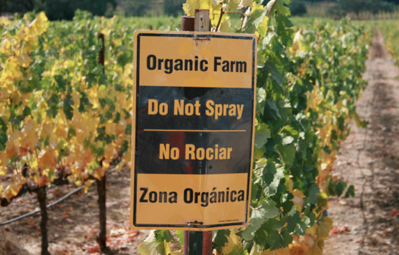 Screen Shot 2014-03-07 at 3.30.46 PM