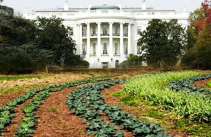 Screen Shot 2014-03-07 at 3.31.55 PM